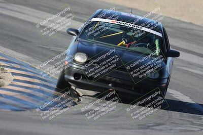 media/Oct-11-2025-Lucky Dog Racing (Sat) [[f5b53147c4]]/5-Fourth Stint/1-Turn 10/